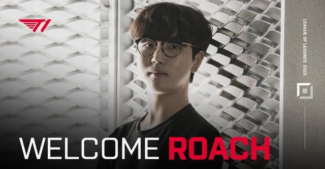 游泳选手展 游泳选手展