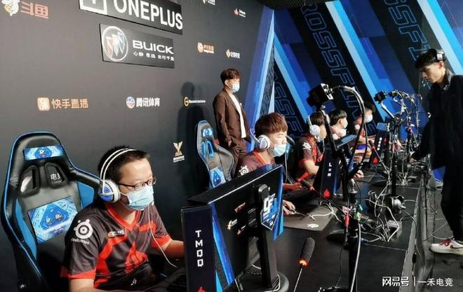 在与黄蜂的 在与黄蜂的