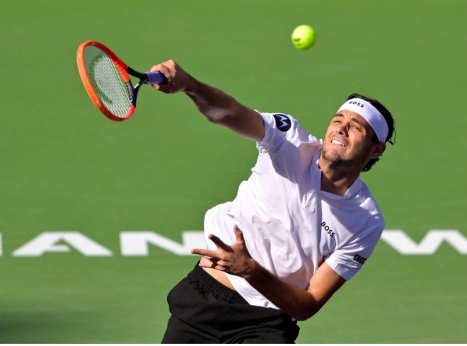 后墩5张 后墩5张